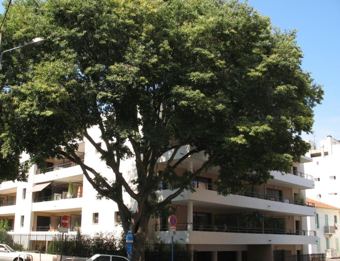 Spacious Luxury Apt, 12 Min Walk To Croisette Beach And Conf Centre Cannes Buitenkant foto
